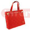 Ladies Handbag (LB63)